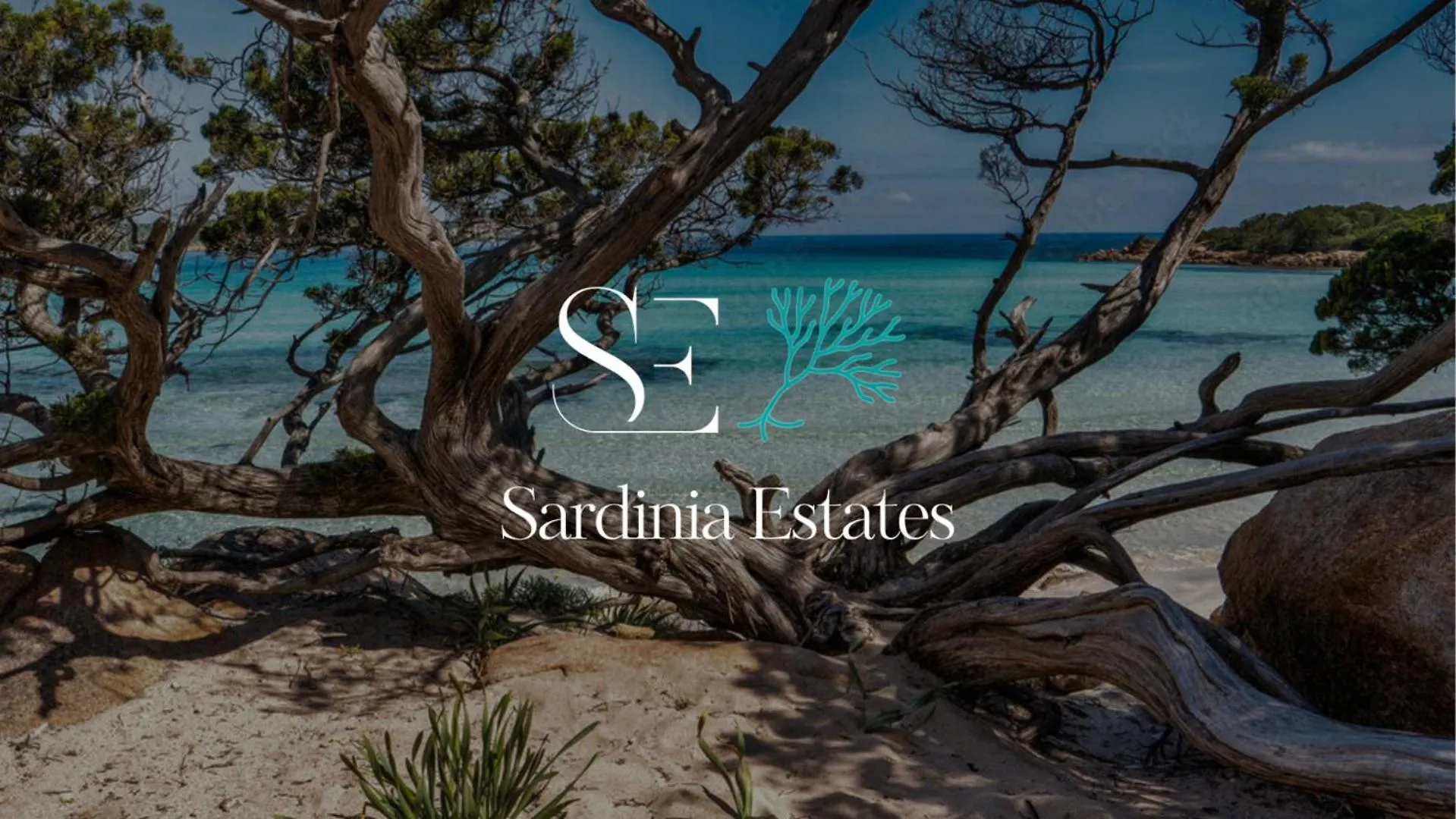 Villa Sandalia - 10M To The Beach San Teodoro