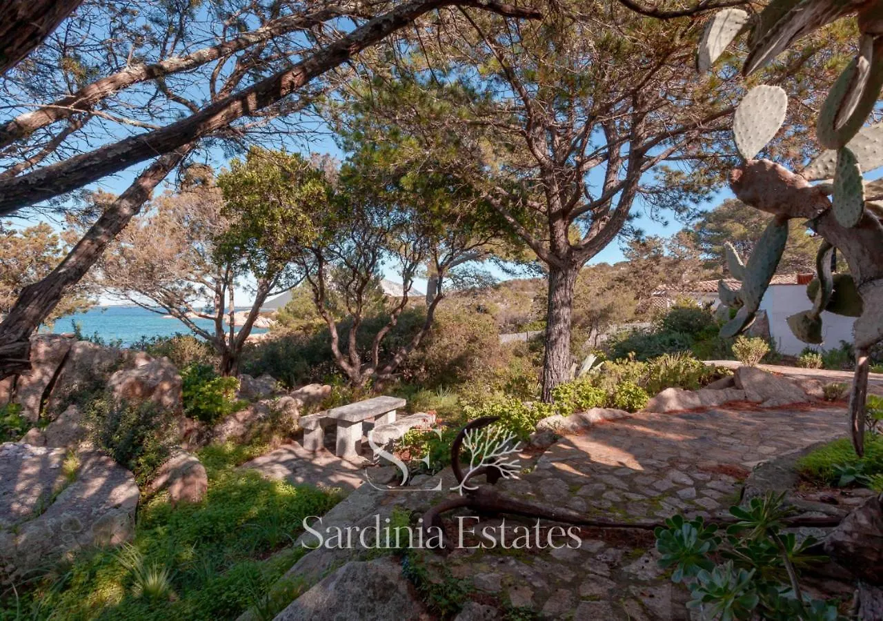 Villa Sandalia - 10M To The Beach San Teodoro  0*, San Teodoro (Sardinia) Italia