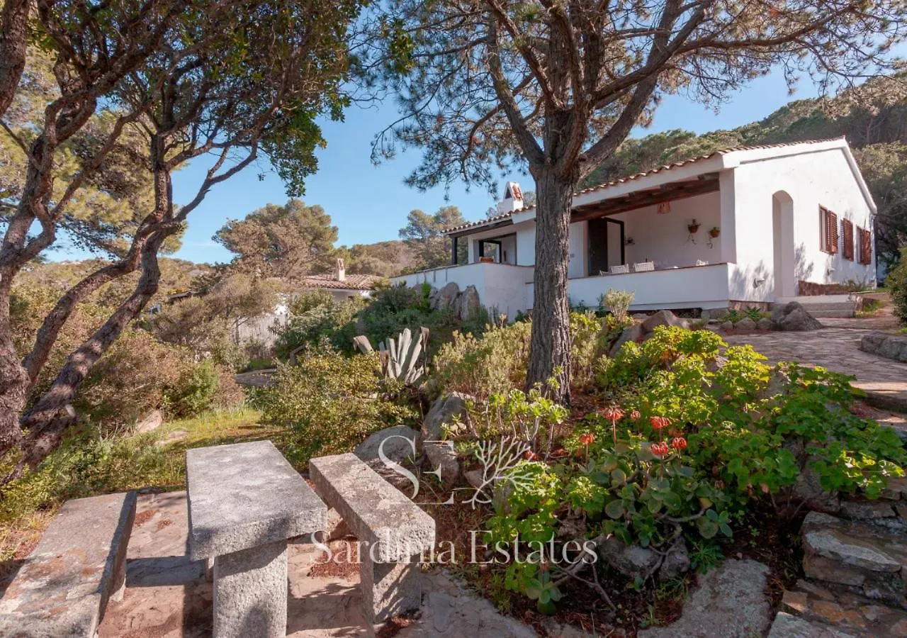 Villa Sandalia - 10M To The Beach San Teodoro