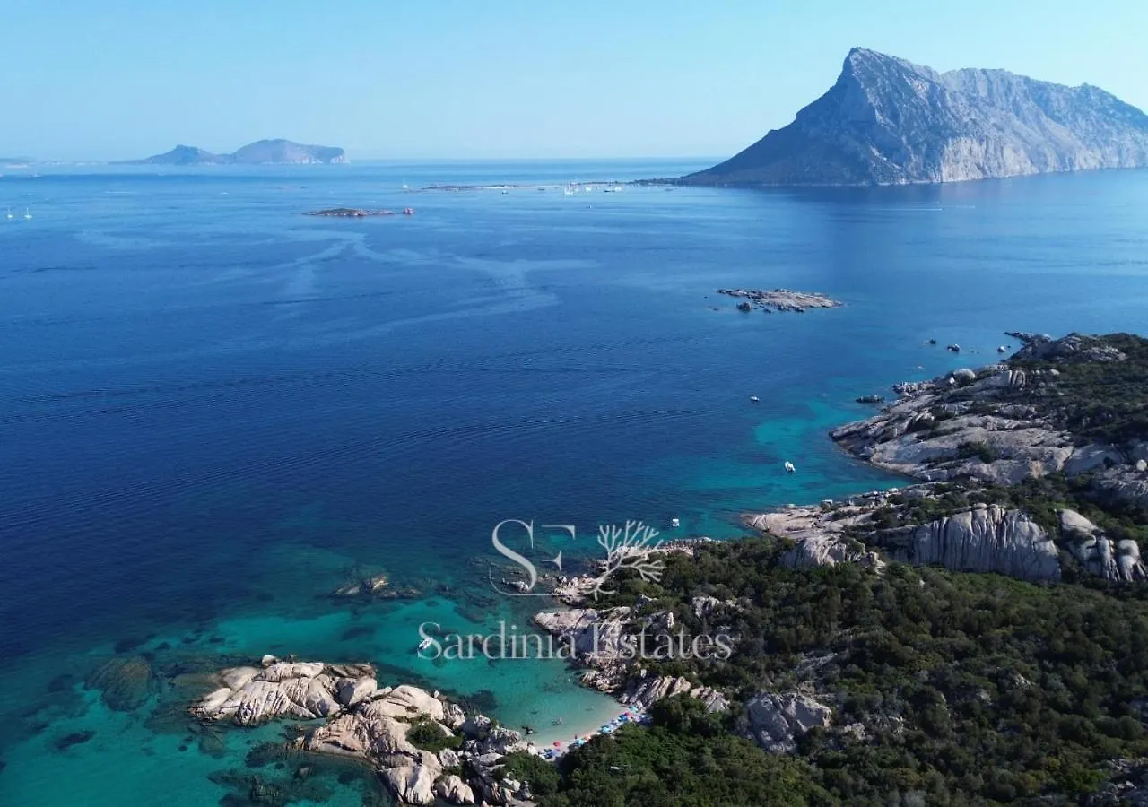 Villa Sandalia - 10M To The Beach San Teodoro  Italia