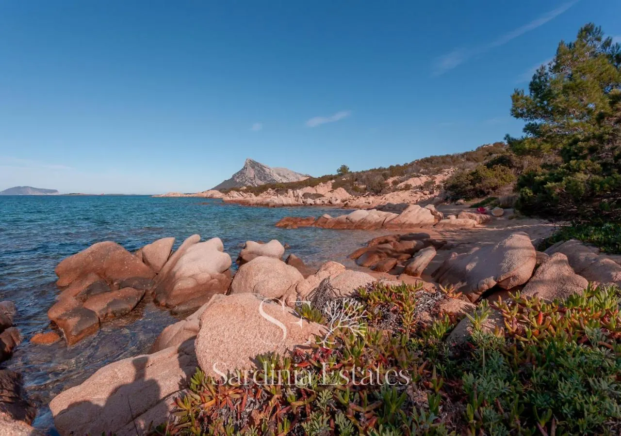 Villa Sandalia - 10M To The Beach San Teodoro   San Teodoro (Sardinia)