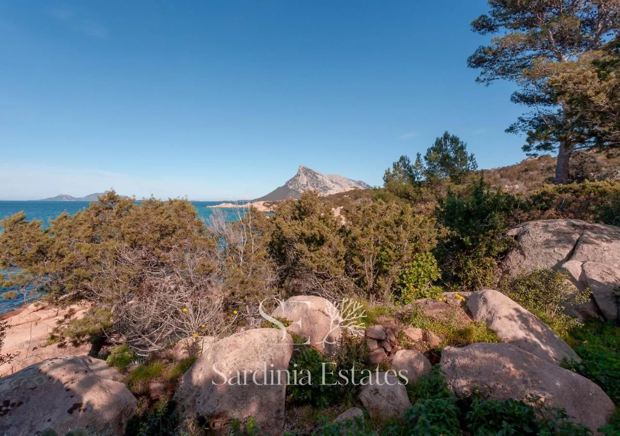 Villa Sandalia - 10M To The Beach San Teodoro
